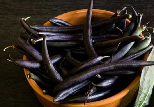 Old Traditional Dwarf French Bean seeds 