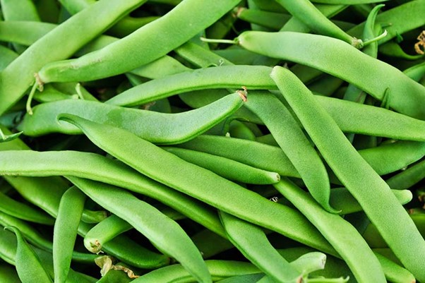 Heirloom Green Flat Beans