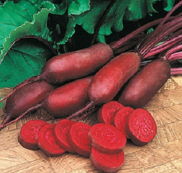 Heirloom Beetroot Rich Red Forono Seeds