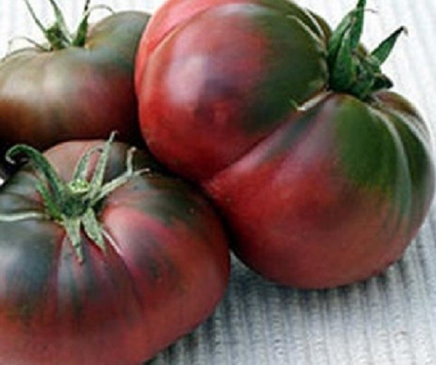 Heirloom Black Gold Tomato Seeds