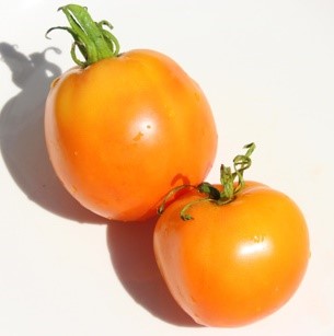 Heirloom Belarus Tomatoes Seeds