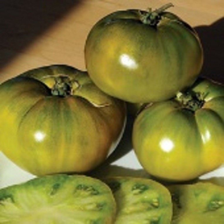 Tomato Cherokee Green