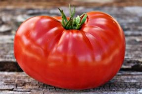 Heirloom Tomato Gaume Seeds