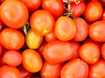Bottondoro Tomato Seeds