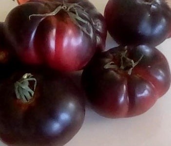 Heritage Tomato Black Beauty Seeds