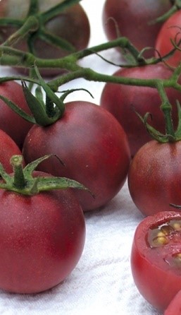 Heritage Black Cherry Tomato Seeds