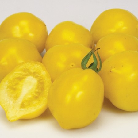 Heritage Lemon Tree Tomato Seeds