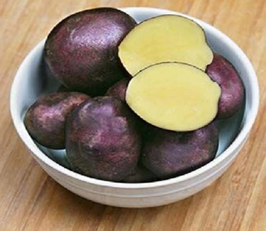 Heritage Harvest Moon Seed Potatoes