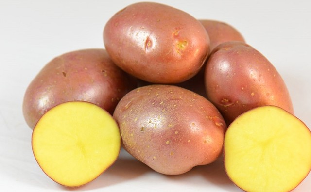 Heritage Red Sonia Seed Potatoes