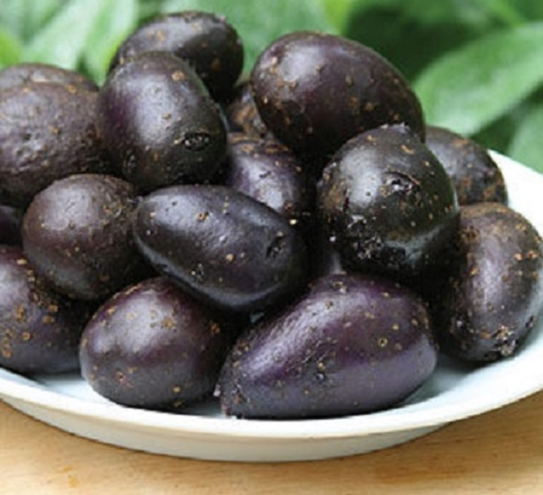 Heritage Purple Majesty Seed Potatoes