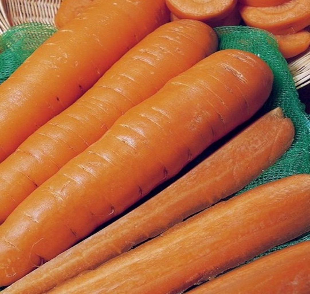 Carrot Nandor Seeds