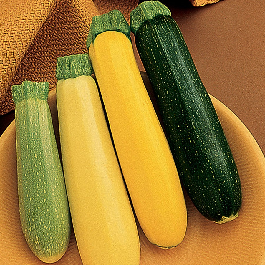 Rare Mixed Courgettes Seeds