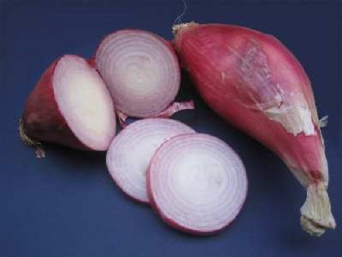 Heirloom Torpedo Red Onions Seeds