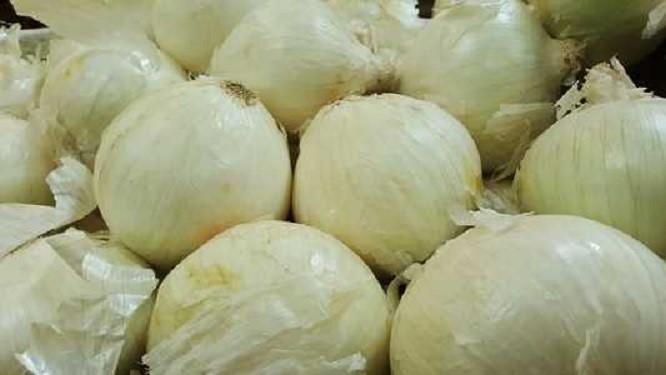 Traditional Sweet White Onions Seeds