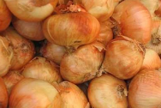 Heritage Vidalia Onions Seeds