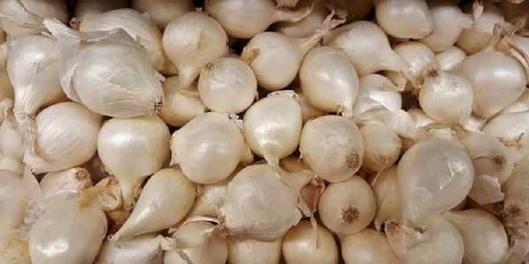Heritage Pearl Onions Seeds