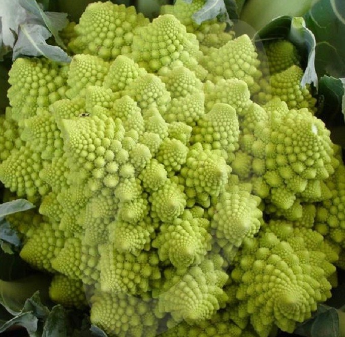 Cauliflower Romanesco Seeds