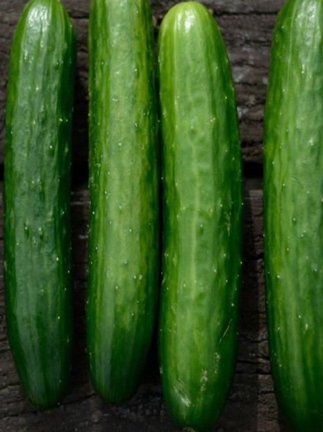 Cucumber Poinsett Seeds