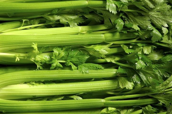 Celery seeds - Victoria F1