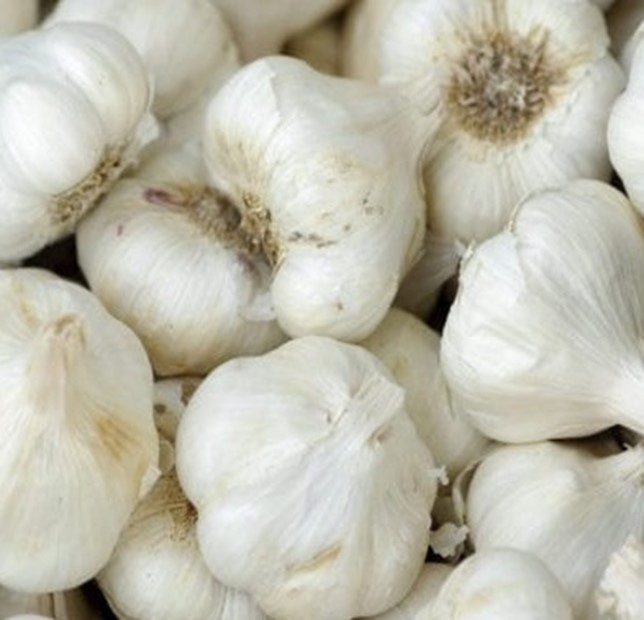 California Late White Garlic