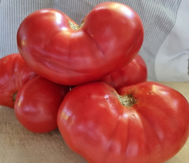Heirloom Crimson Blush Tomato Seeds