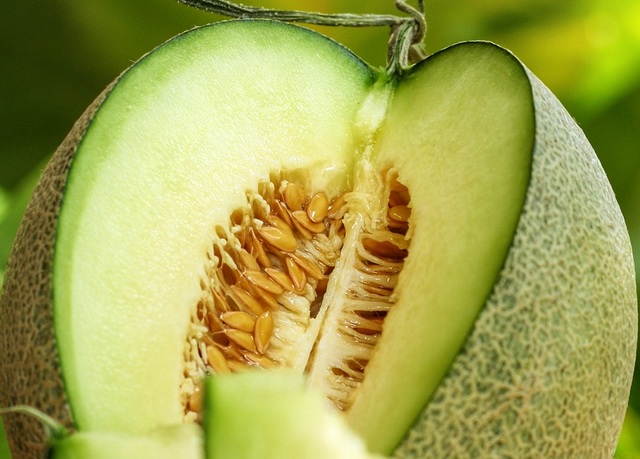 Honeydew Melon Seeds