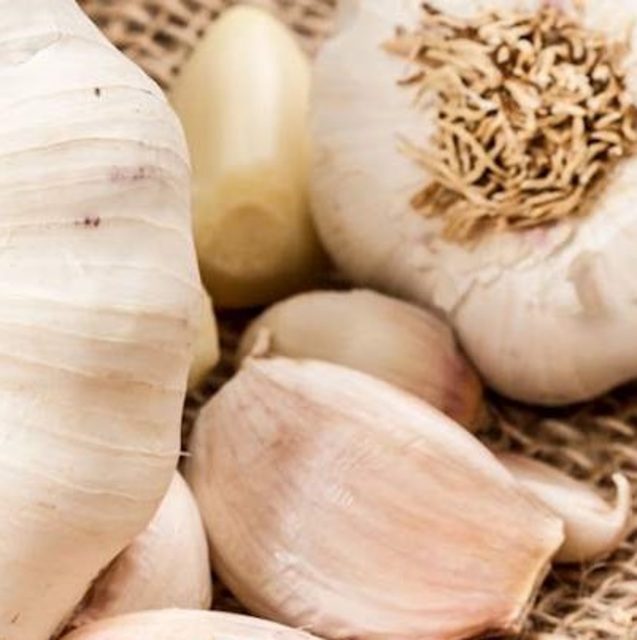 Heritage Ail blanc de Lomagne Garlic Bulb