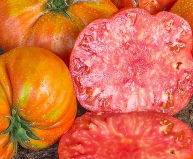 Heirloom Gigante de Zamora Tomato Seeds