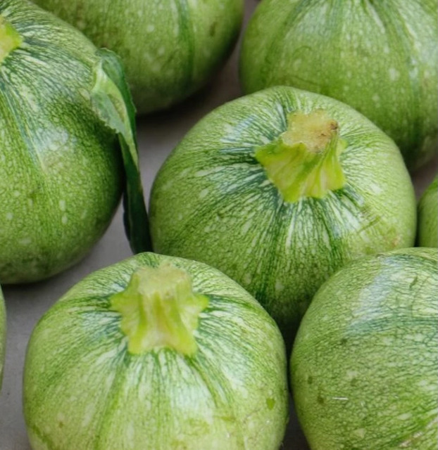 Courgette Eight Ball F1