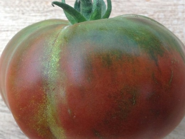 Heirloom Pata Negra Tomato Seeds