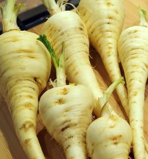 Buy Parsnips Seeds Online NZ
