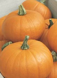 Heirloom Variety Small Sugar Pumpkin Seeds
