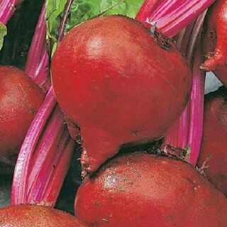 Beetroot