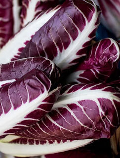 Chicory & Radicchio