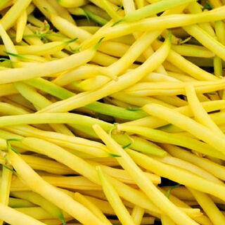 Buy Bean Seeds Online NZ